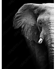 Flamencos en el lago del Parque Nacional de Nakuru, Kenia
