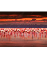 Bebé elefante consolándose con su madre, Parque Nacional Etosha, Namibia