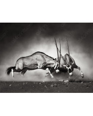 Bebé elefante consolándose con su madre, Parque Nacional Etosha, Namibia