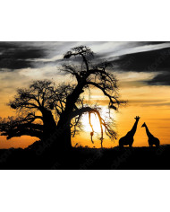 Perro afrancesado viendo una película