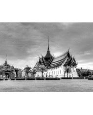 Perro afrancesado viendo una película