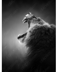 Elefante, Parque Nacional Serengueti, Tanzania