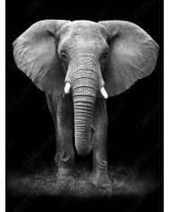 Retrato policromado de Budha