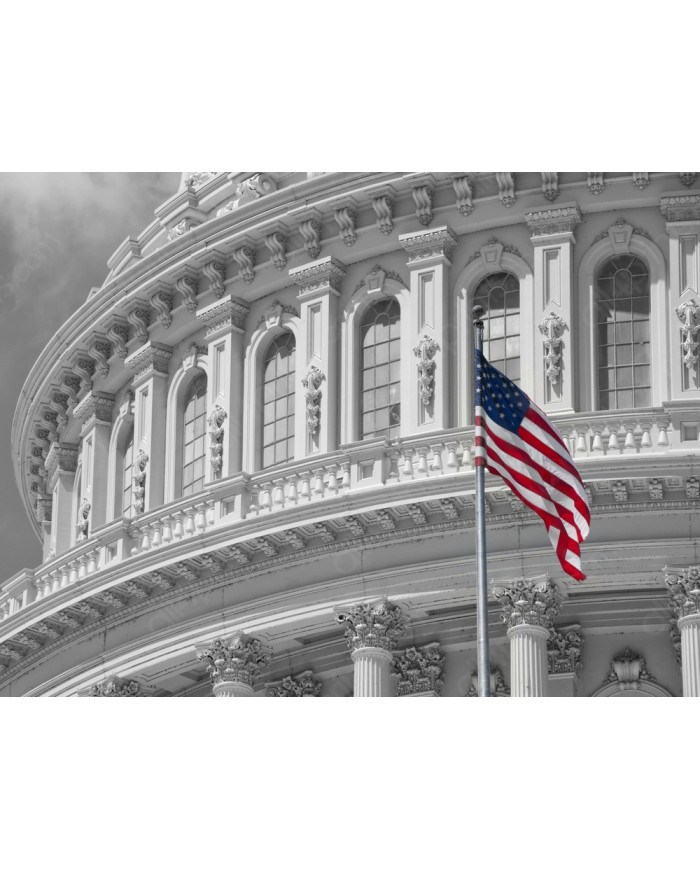 Vista del Capitolio, Washington DC, USA