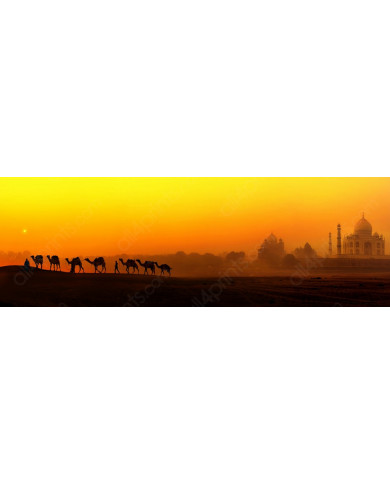 Vista panorámica,Taj Mahal,India Vista panorámica,Taj Mahal,India
