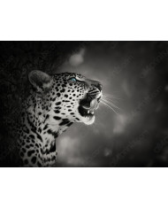 Retrato de un loro volando