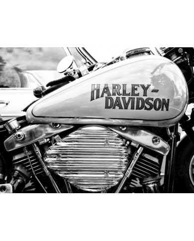 Detail of a Harley Davison, Paris, 11 May 2013