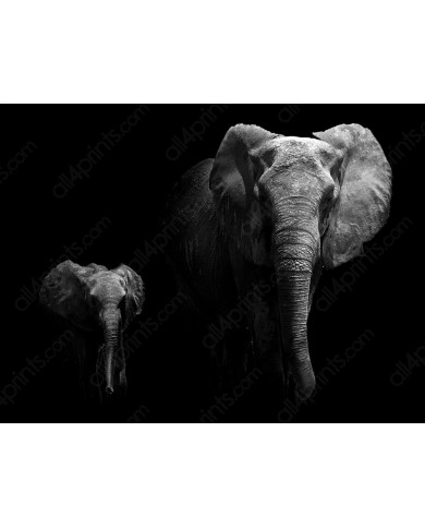 Portrait of an elephant with its calf, Serengu National Park