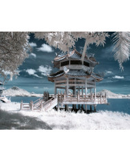 Monte Fuji en otoño,Japón