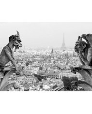 Vista de París desde las gárgolas y quimeras de Notre Dame