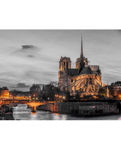 Notre Dame de París junto al Sena Notre Dame de París junto al Sena