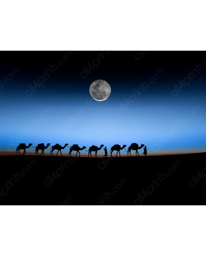 De camino por el Sahara, Marruecos