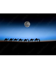 De camino por el Sahara, Marruecos