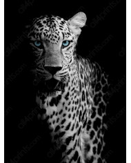 Retrato de un leopardo, Parque Nacional Chobe, Botswana