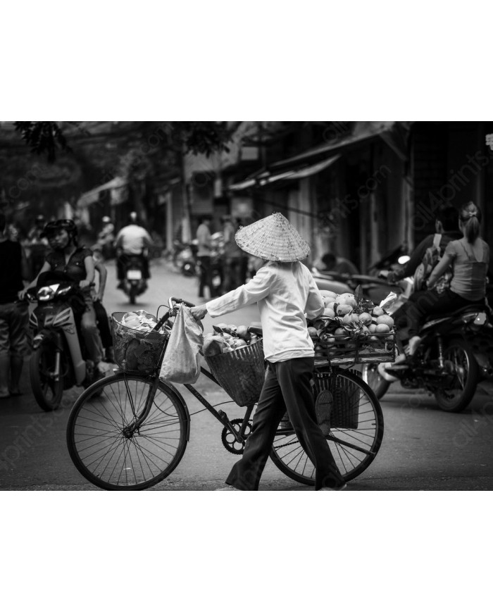 Mercado vietnamita, Hanoi, Vietnam