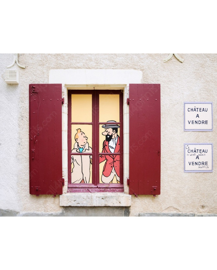Tintin in the Castle of Cheverny, France