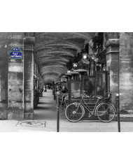 Calle parisina, París, Francia