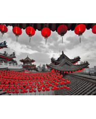 Antílopes,Parque Nacional Moremi,Botswana