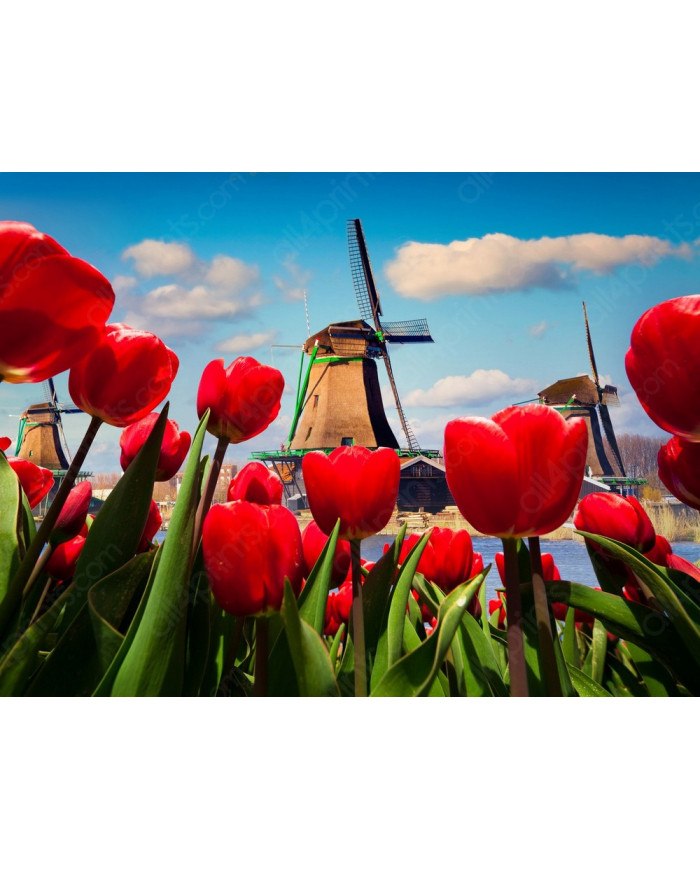 Windmills, Netherlands