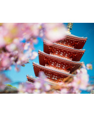 Geisha japonesa con sushi