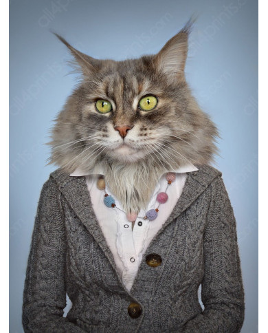Gato disfrado Gato disfrado