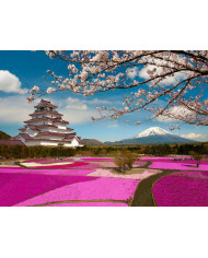 León en la sabana,Parque Nacional Masai Mara,Kenia