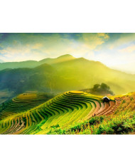 Campos de arroz en Mu Cang Chai, Vietnam