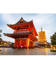 Rinocerontes blancos, parque nacional Kruger, SudÁfrica