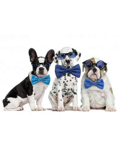 Perros disfrazados Perros disfrazados
