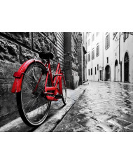 Bicicleta en el centro de la ciudad