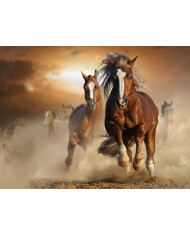 Little India, Singapur