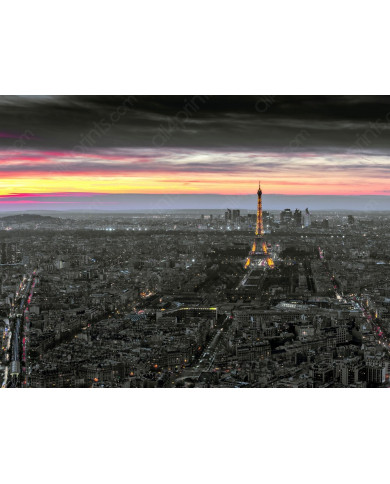 View of Paris with the Tour Eiffel
