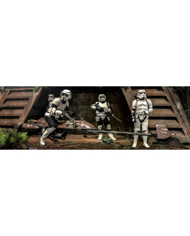 Endor Stormtroopers, Star Wars Endor Stormtroopers, Star Wars