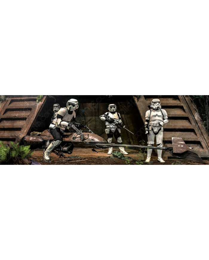 Endor Stormtroopers, Star Wars