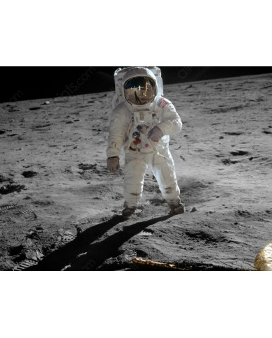 Neil Amstrong, Premier homme sur la lune