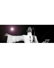 The Wolf of Wall Street