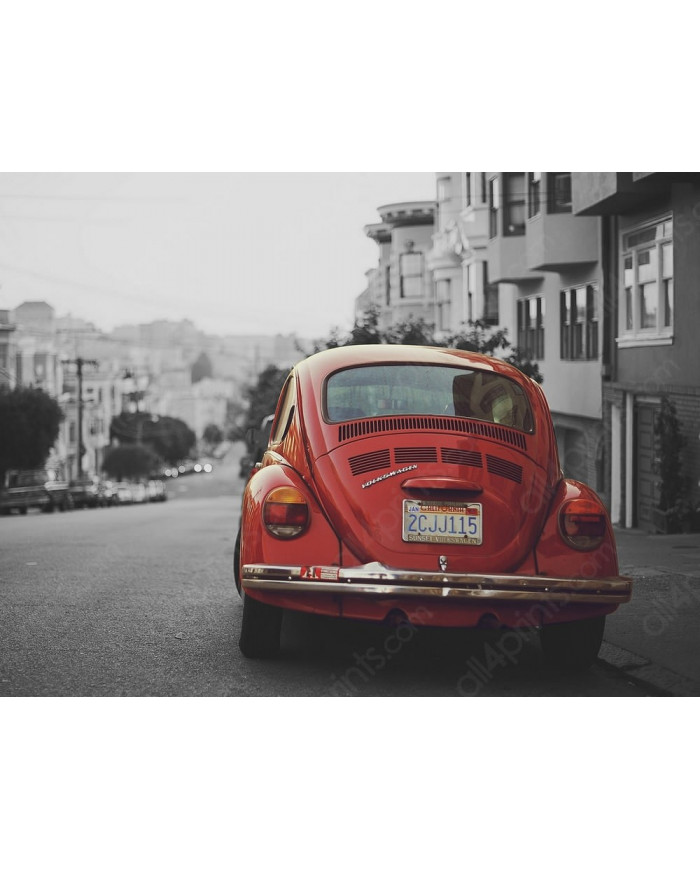 Beetle, California, 1985