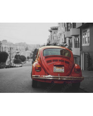 Beetle, California, 1985