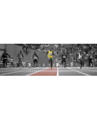 Michael Jordan, Wings