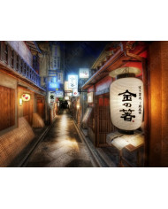 Calle de Kyoto, Japón