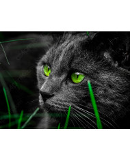 León con su cría, Parque Nacional Masai Mara, Tanzania