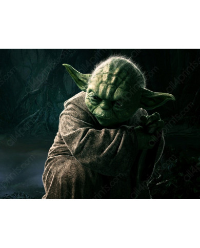 Maestro Yoda, Star Wars