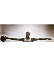 Michael Jordan, Wings