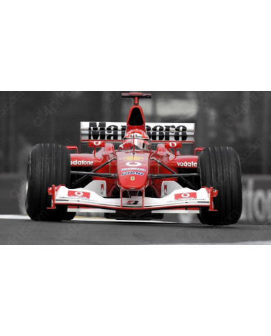 Michael Schumacher, San Marino-Grand-Prix, 2003 Michael Schumacher, San Marino-Grand-Prix, 2003