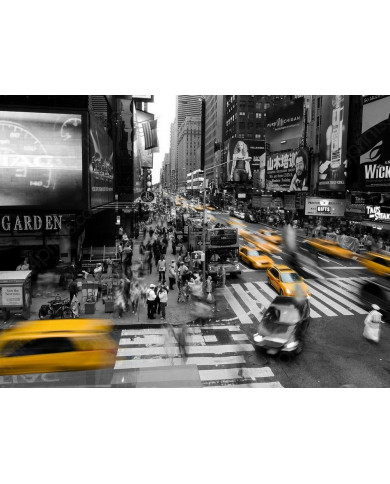 New York New York