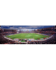 Michael Jordan, Wings