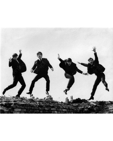 The Beatles The Beatles