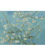 Vicent van Gogh, Branches d'amandier en fleurs