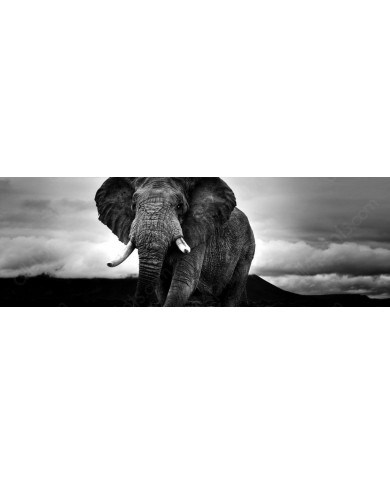 Panoramic view of an elephant in the Ngorongoro Nature Park, Tanzania