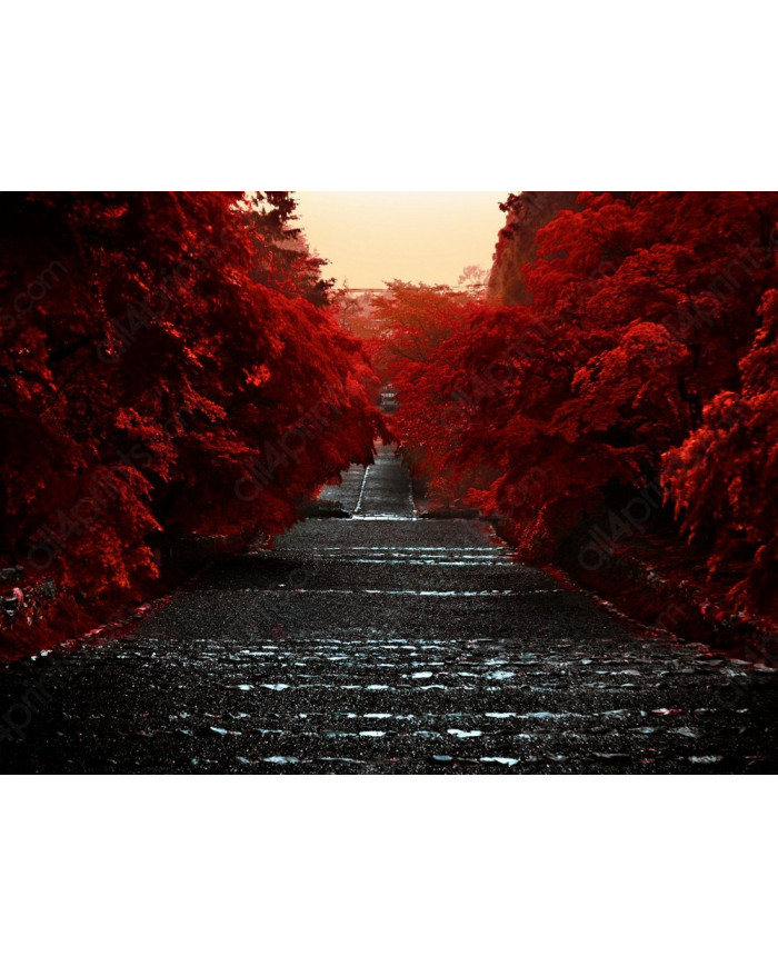 Camino de la Isla Honshu,Japón